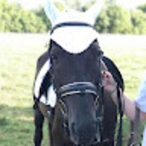 Meet your Posher, Annanisa